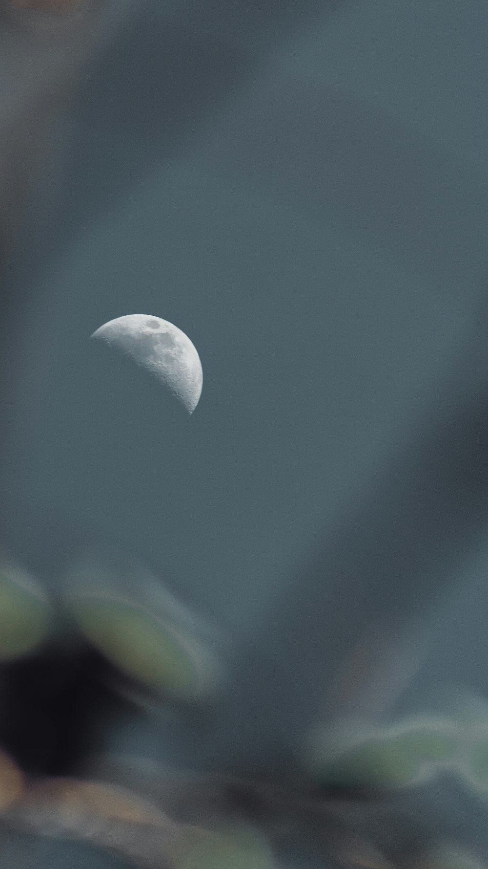 white moon in blue sky