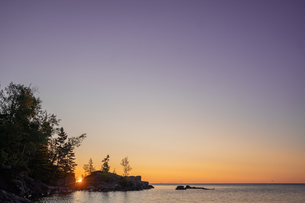 Siluetta degli alberi vicino al corpo d'acqua durante il tramonto