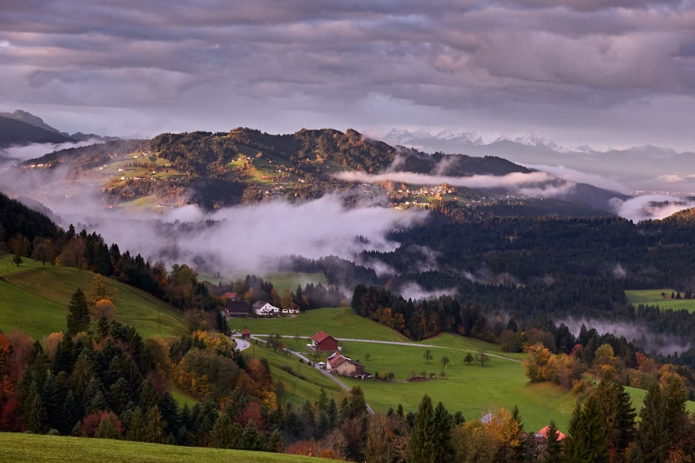 green grass field near green trees and mountain under white clouds during daytime