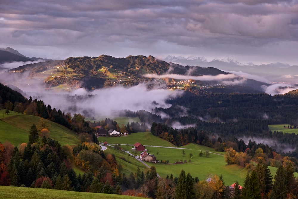 Grünes Grasfeld in der Nähe von grünen Bäumen und Bergen unter weißen Wolken während des Tages