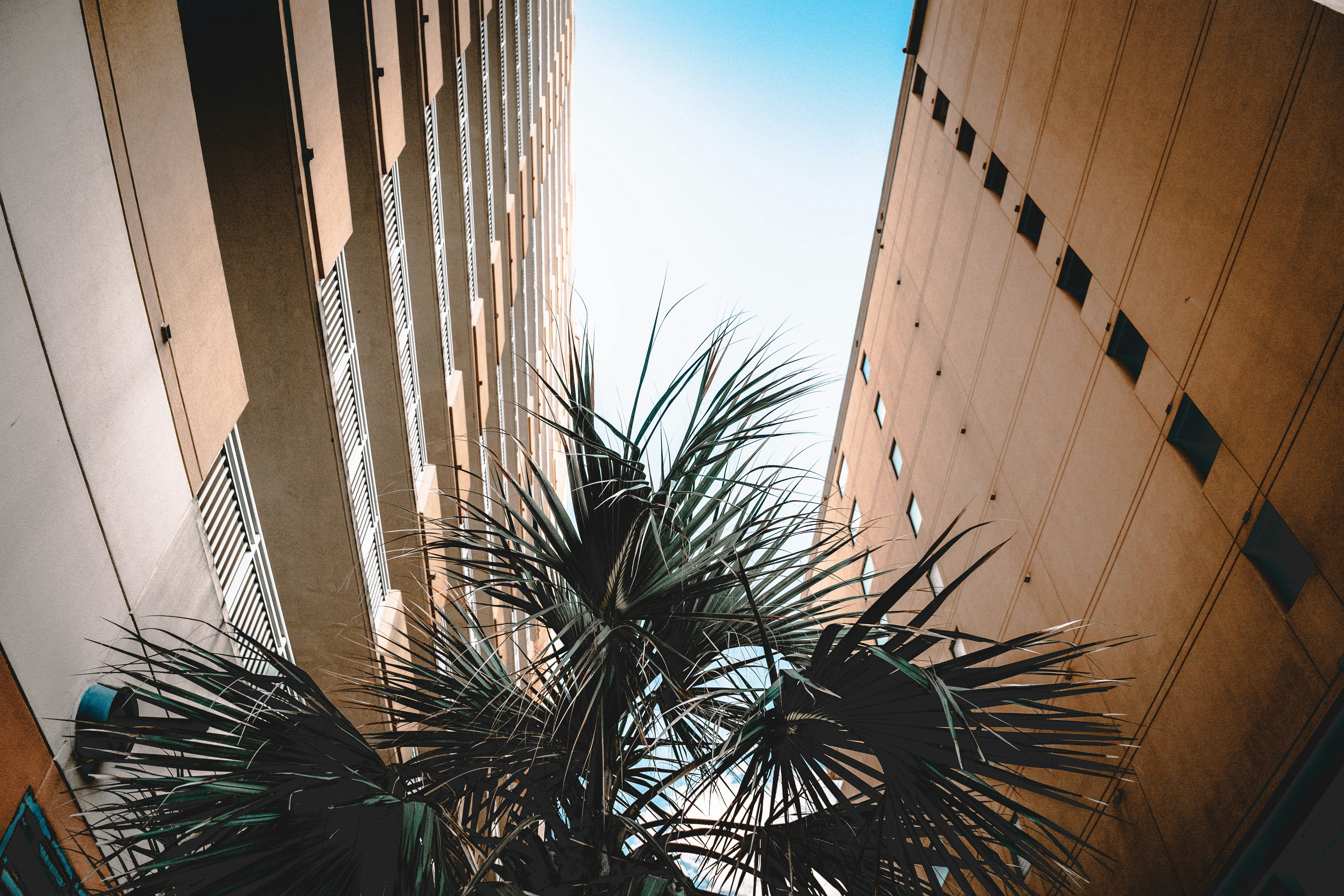 Photo by rf_creative