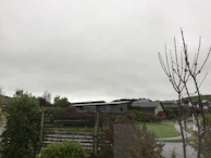 A wide shot of a suburban neighborhood with perfectly trimmed lawns.