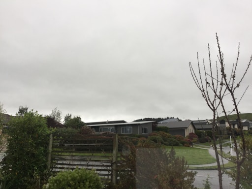 A suburban neighborhood with single-story houses and well-maintained lawns, some without leaves, under a cloudy sky. Trees and shrubs are visible in the foreground, and a paved road curves through the scene.