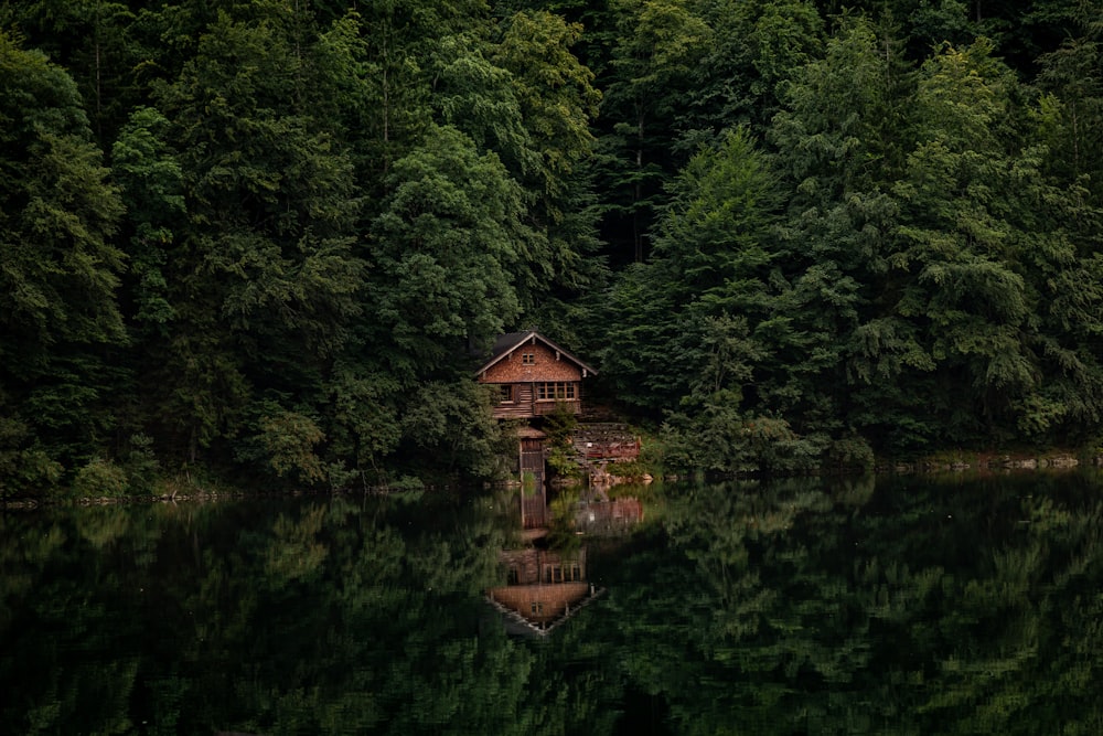 brown wooden house on lake surrounded by green trees during daytime