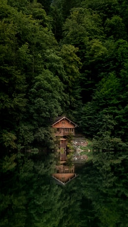 A rustic wooden cabin is nestled among dense green trees with its reflection visible in a calm body of water below. The setting is serene and surrounded by a lush forest, creating a sense of isolation and tranquility.