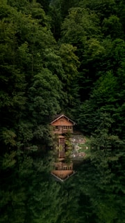 A rustic wooden cabin is nestled among dense green trees with its reflection visible in a calm body of water below. The setting is serene and surrounded by a lush forest, creating a sense of isolation and tranquility.