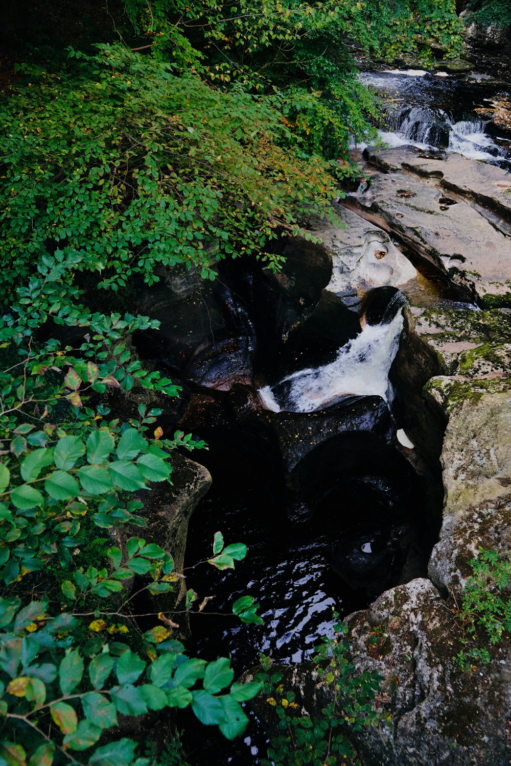 water falls between brown rocks and green plants