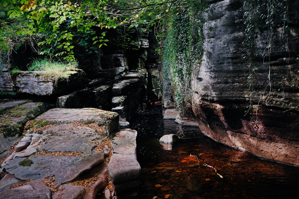 gray rock formation near green trees during daytime