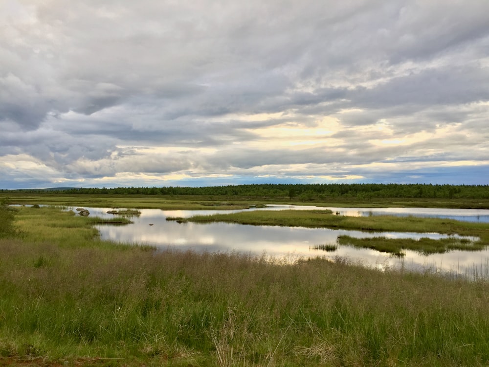 green grass field near body of water under cloudy sky during daytime