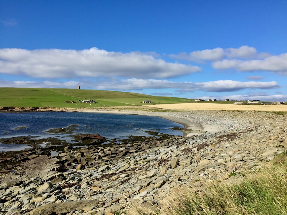 brown and green field near body of water under blue sky during daytime