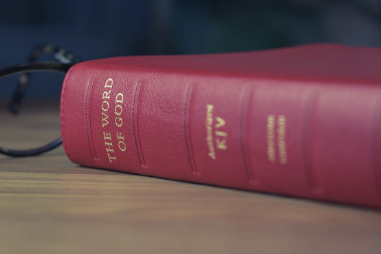 red and black labeled book