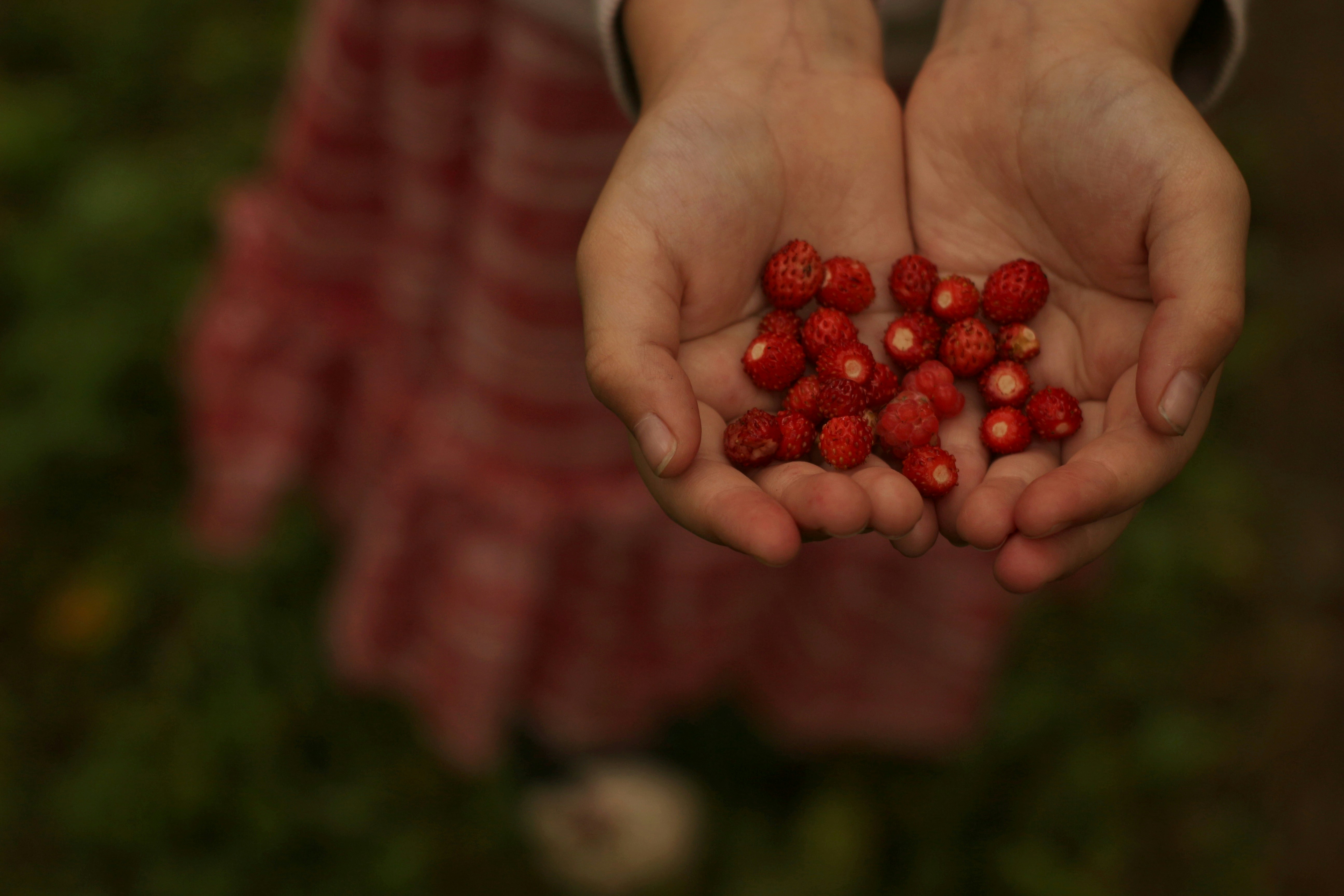 Photo by _ptichkasinichka_