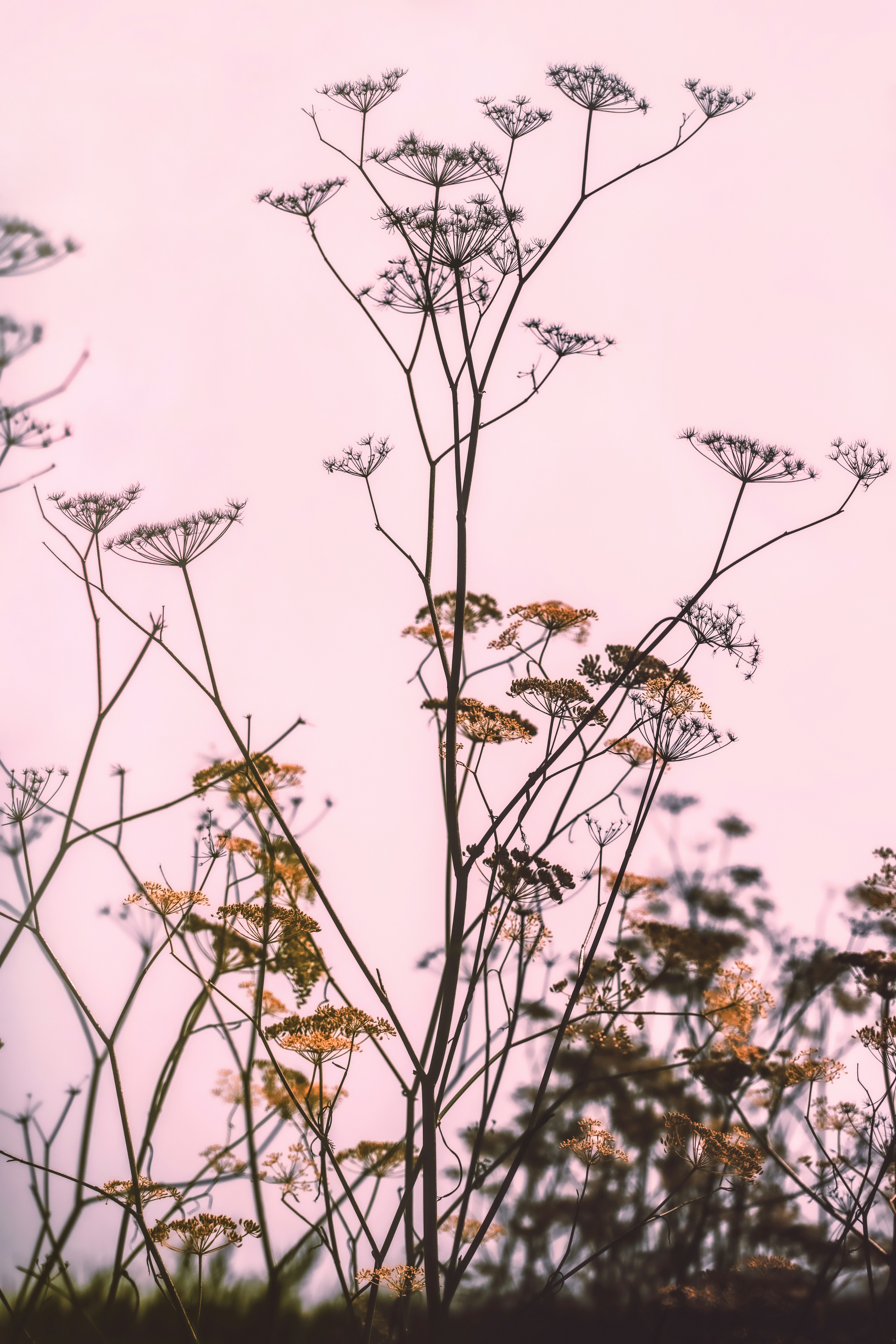 Photo by timmossholder