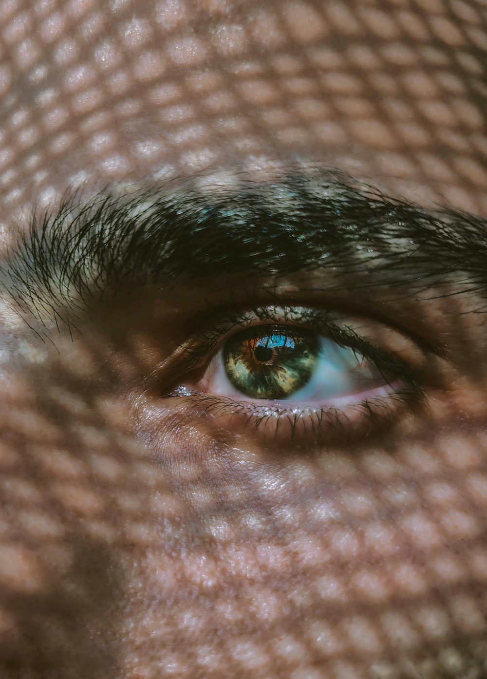 persons eye with blue eyes