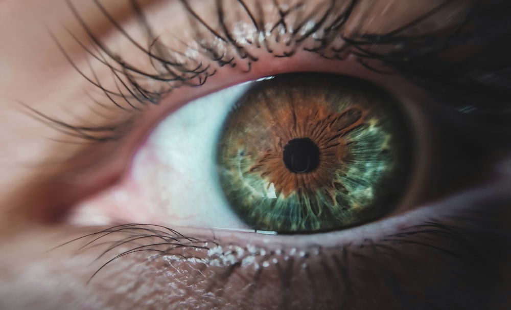 human eye in close up photography