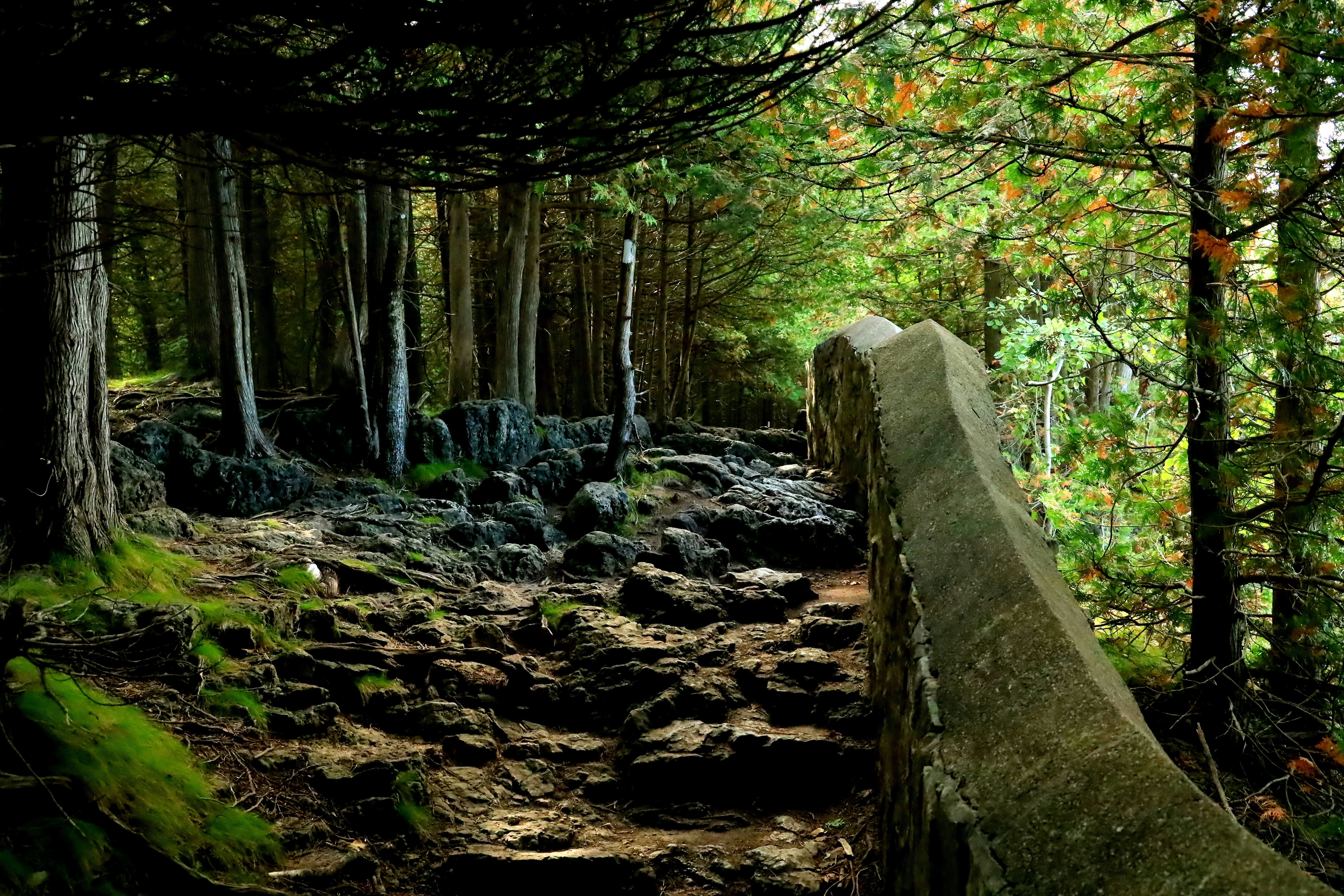 Photo by richardworks