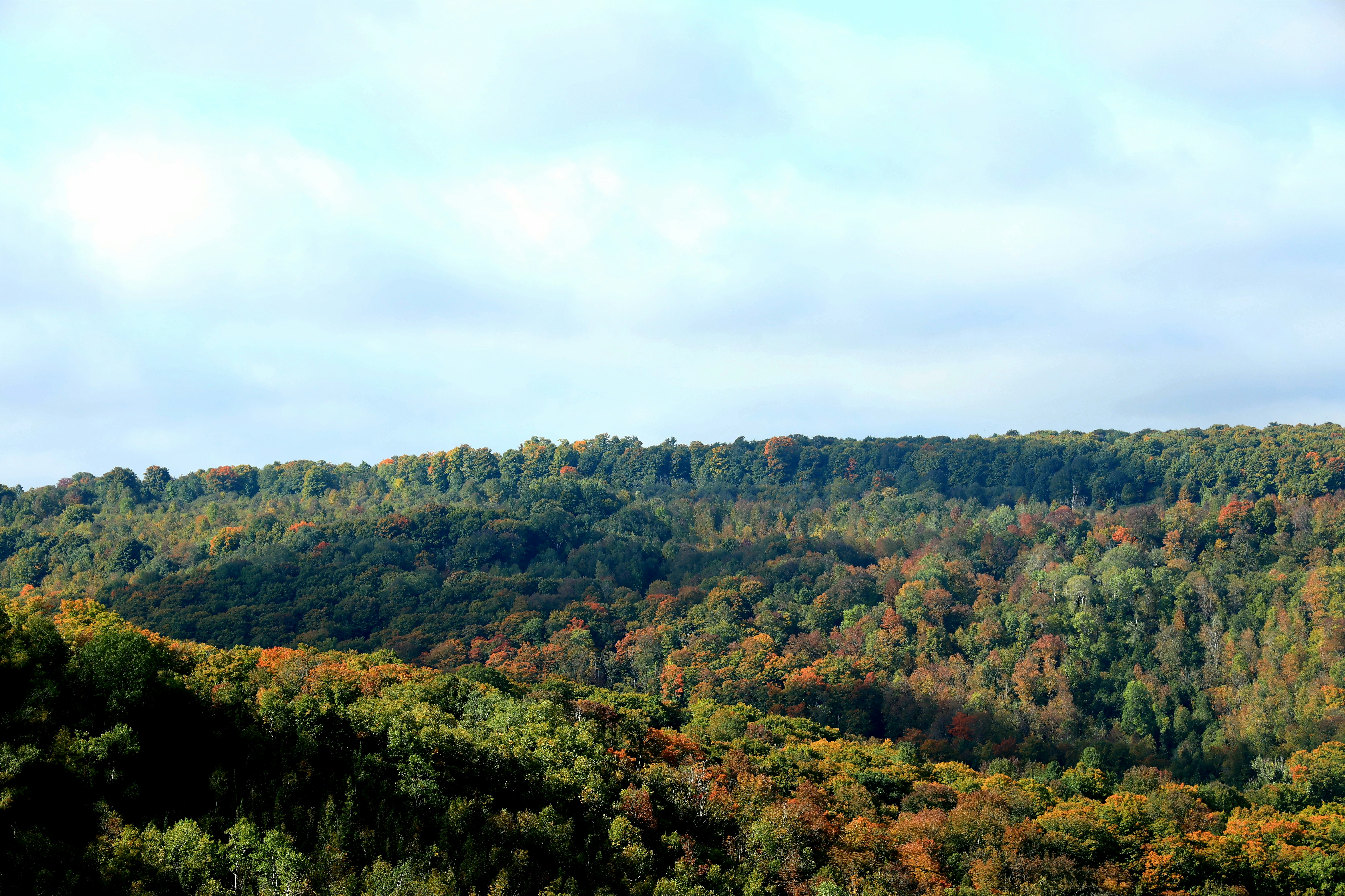 Photo by richardworks