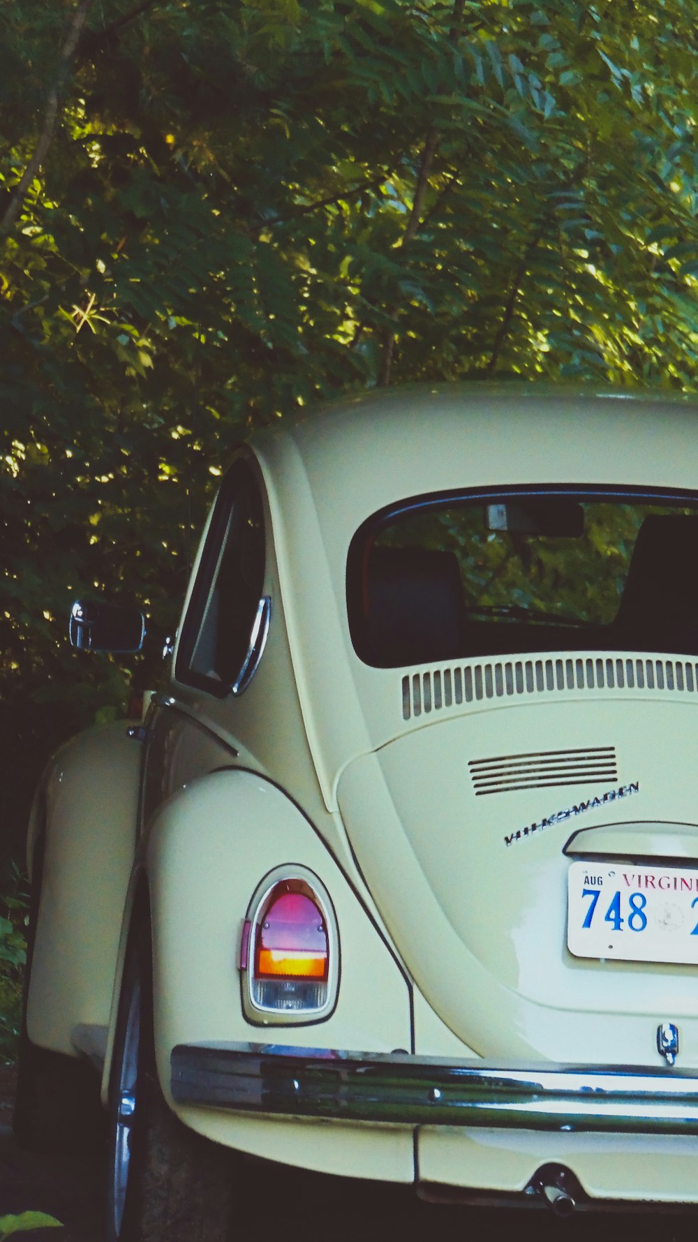 white car parked near green tree during night time