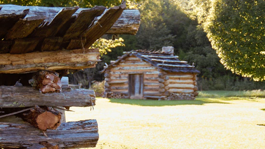 A skilled carpenter working on a rustic wooden cabin surrounded by the lush forests of Bergslagen.