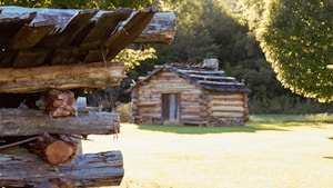 A rustic log cabin is situated in a verdant landscape, surrounded by lush greenery and forest. In the foreground, there are close-up details of wooden logs, suggesting parts of another cabin or structure.