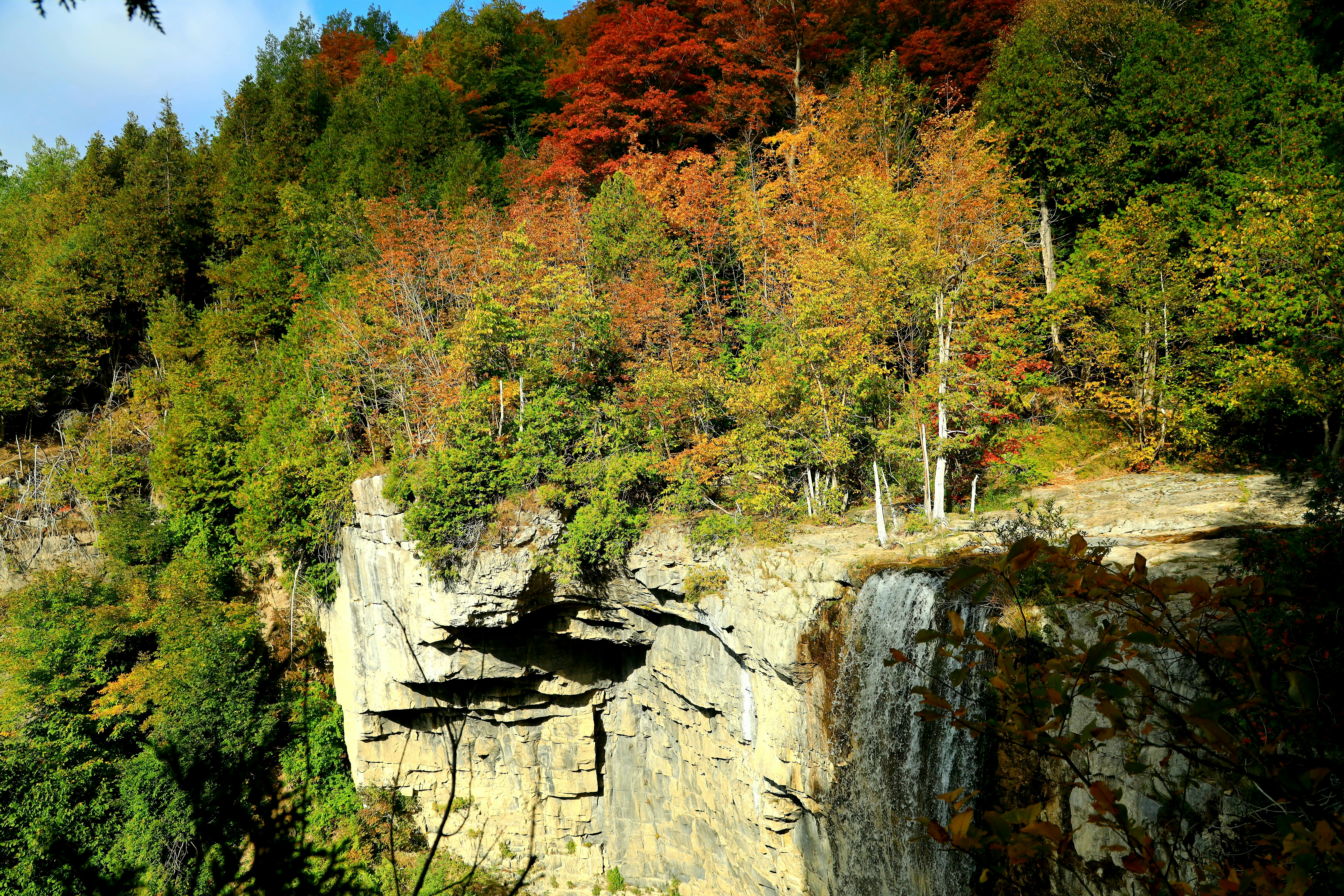 green and brown trees near waterfalls during daytime