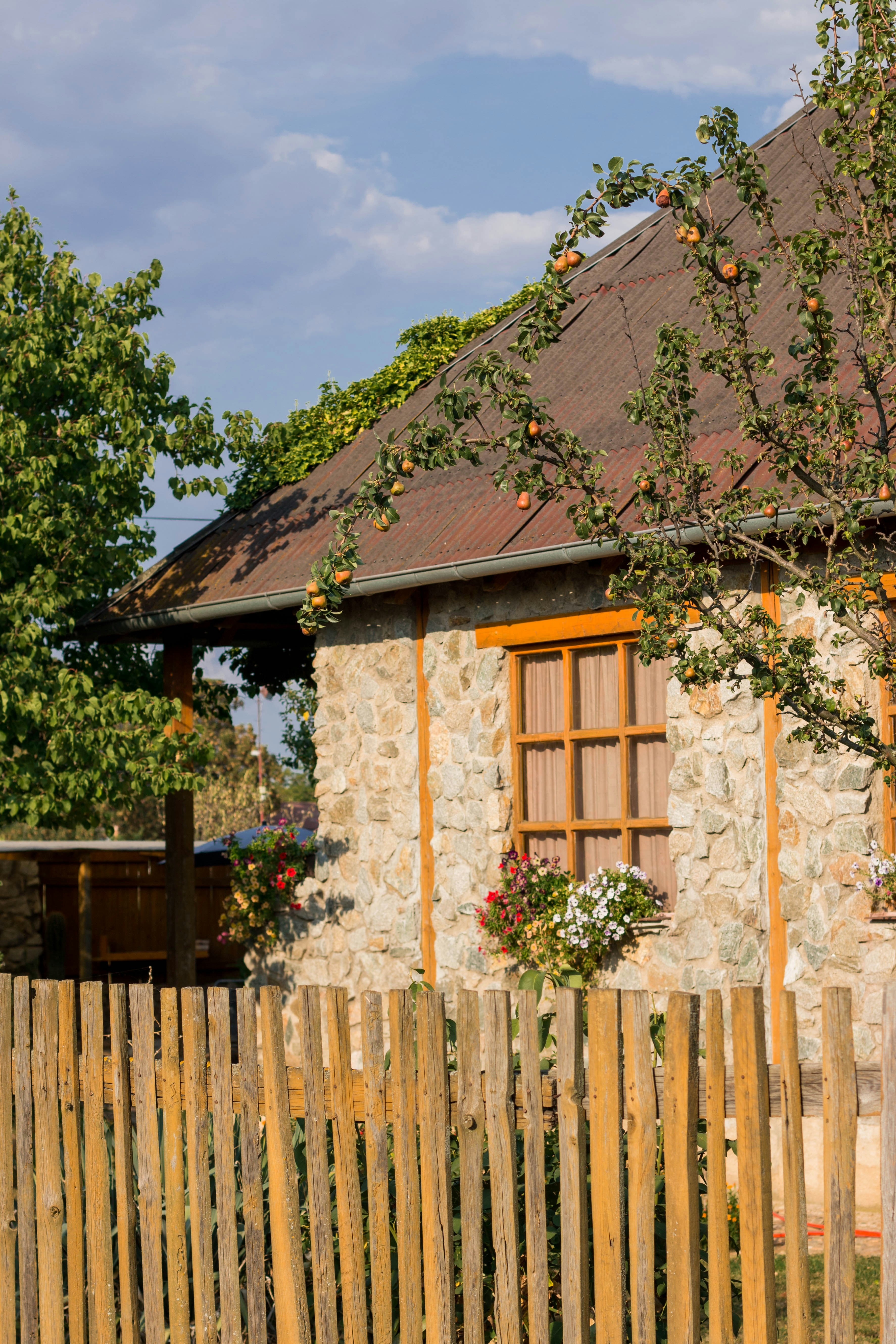 Brno – Geography & Spatial Structure