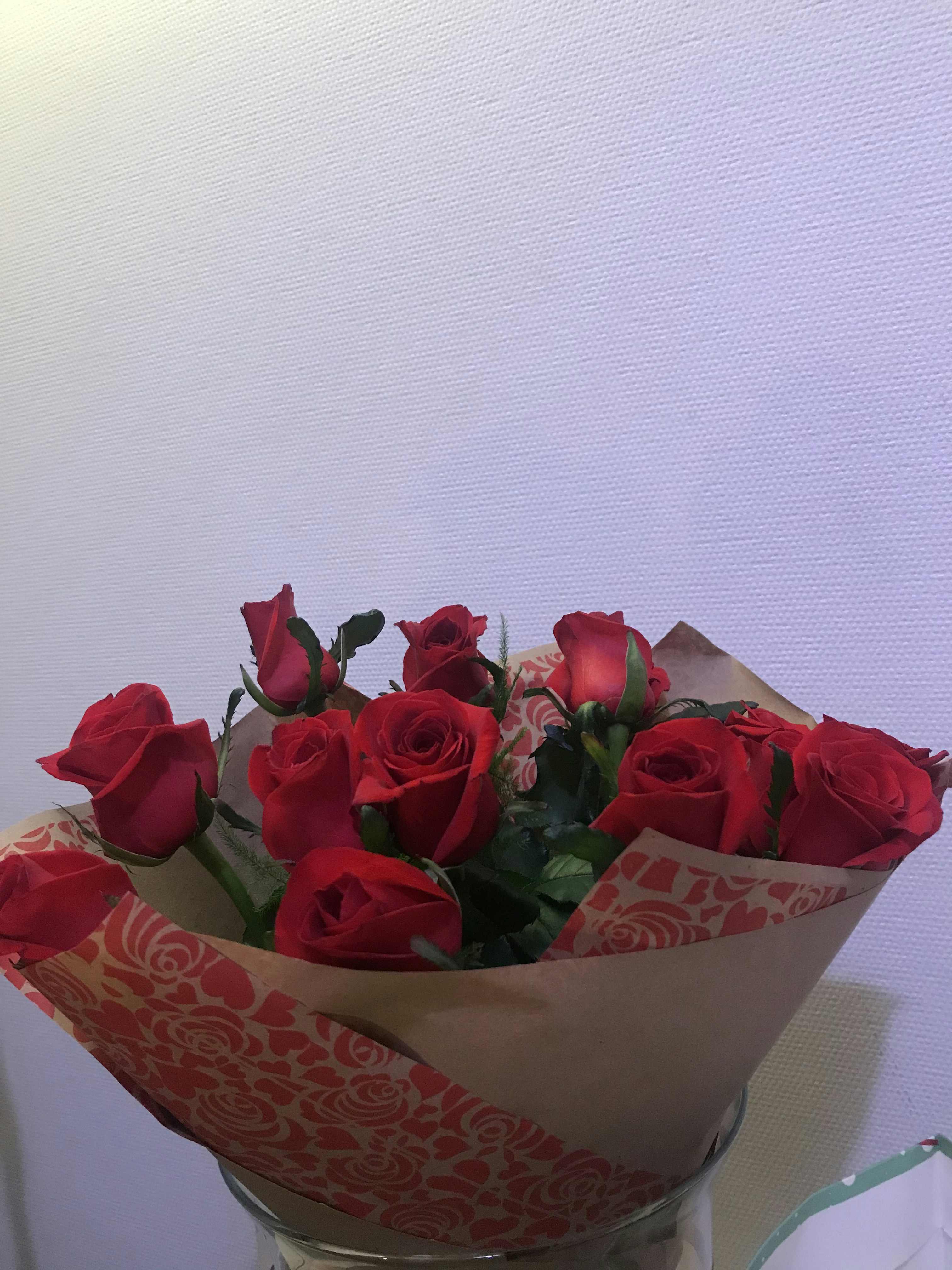 Lush vibrant red rose bouquet wrapped in kraft paper, bright florist studio, vivid colours