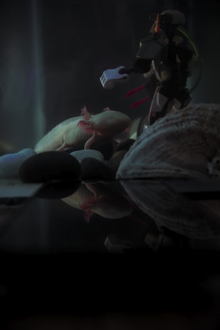 A pale axolotl sits atop a group of smooth stones, next to a humanoid robotic figure. The scene is dimly lit, creating a mystical atmosphere. The axolotl's delicate features contrast with the angular and metallic design of the robot, which appears to be holding a small object.