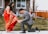 A man dressed in a gray suit is kneeling on a grassy lawn in front of a house, helping a woman adjust her sandal. The woman is wearing a red sari with gold patterns and a cream blouse. The setting includes a wooden fence and some small trees, suggesting a suburban neighborhood.