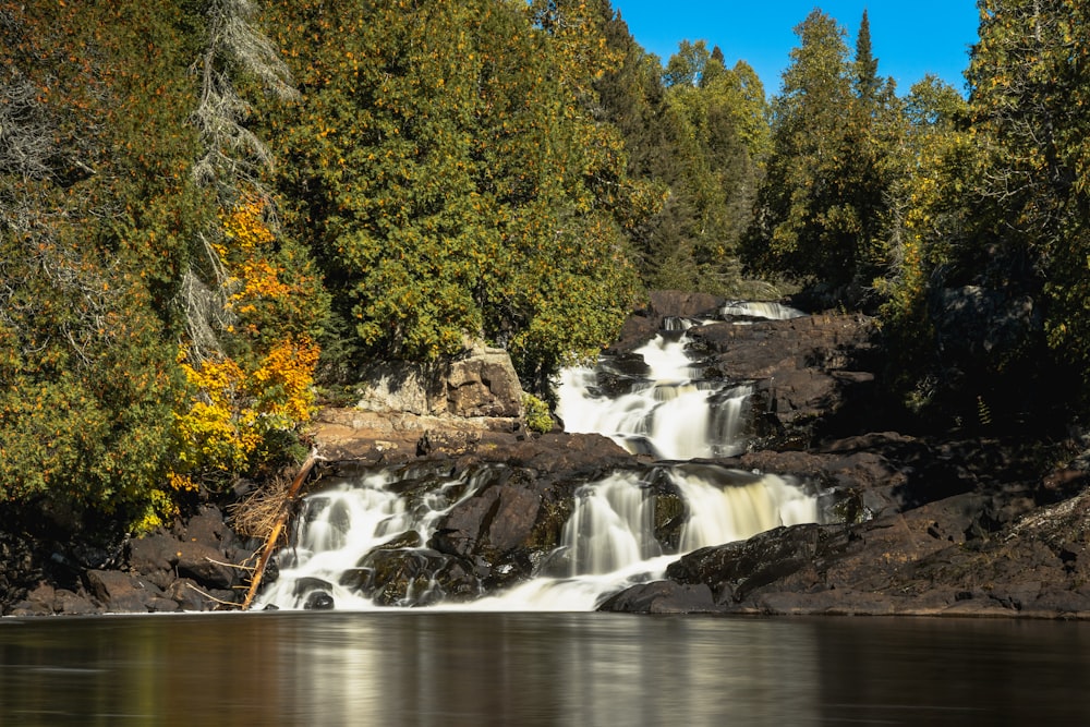 green trees beside river under blue sky during daytime