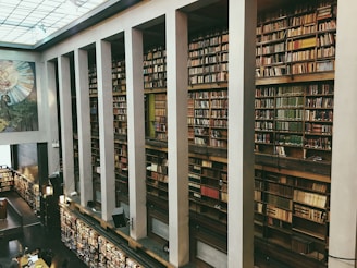 A large library features tall, multi-tiered bookshelves filled with a vast collection of books, spanning from floor to ceiling. The architecture includes high ceilings, pillars, and an overhead mural showing a colorful depiction of figures and sunlight. In the foreground, a few individuals are seated at tables surrounded by books, engaging in study or reading.