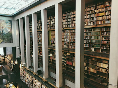 A large library features tall, multi-tiered bookshelves filled with a vast collection of books, spanning from floor to ceiling. The architecture includes high ceilings, pillars, and an overhead mural showing a colorful depiction of figures and sunlight. In the foreground, a few individuals are seated at tables surrounded by books, engaging in study or reading.