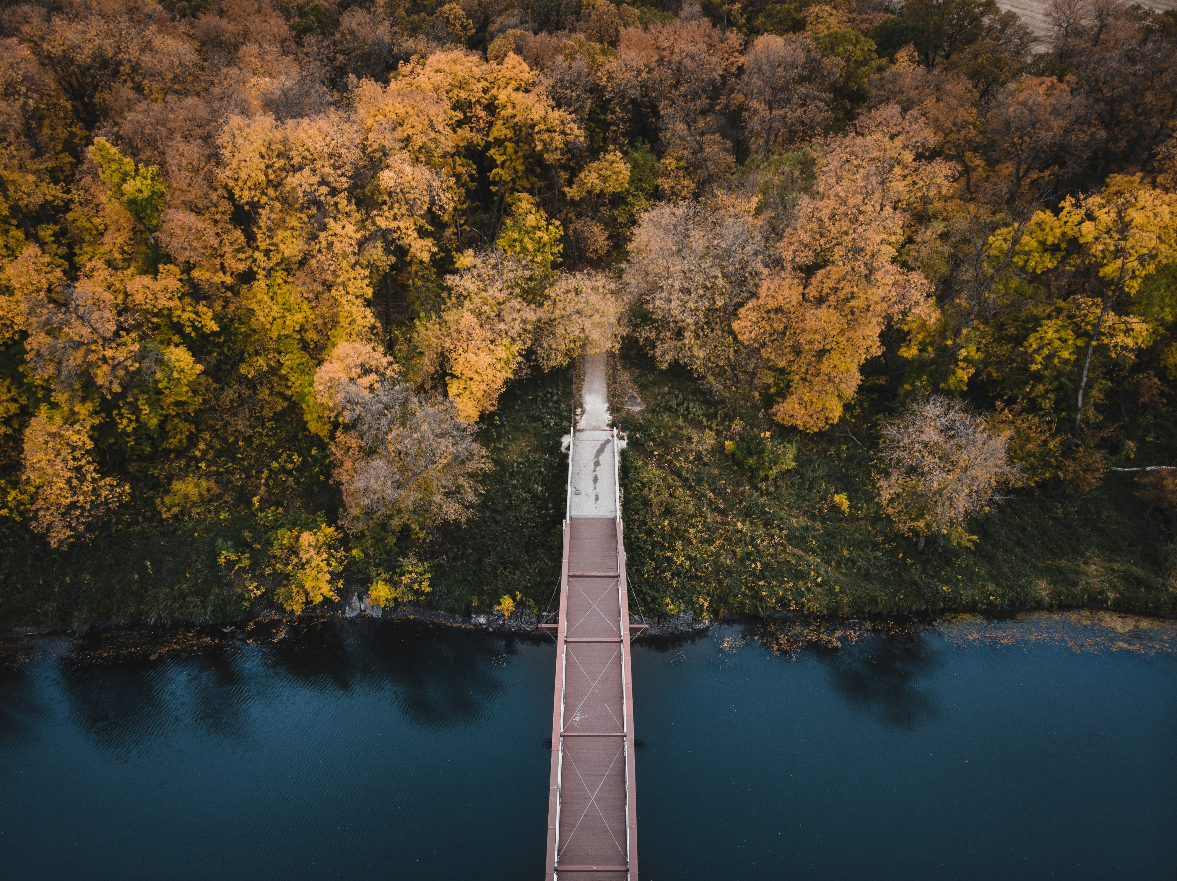 Photo by brydoncreative