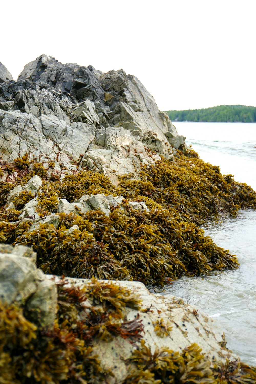 gray rock formation near body of water during daytime