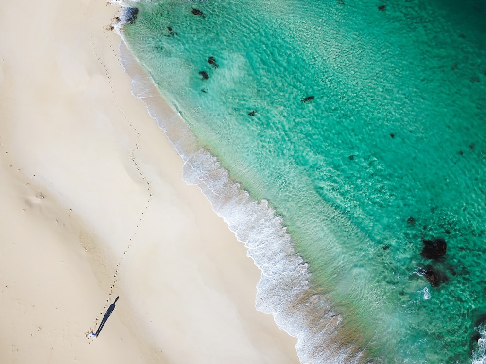 Luftaufnahme des Strandes während des Tages