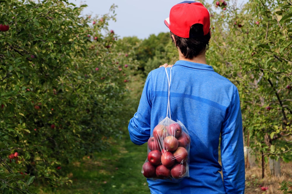 woman in blue hoodie holding red apple fruit