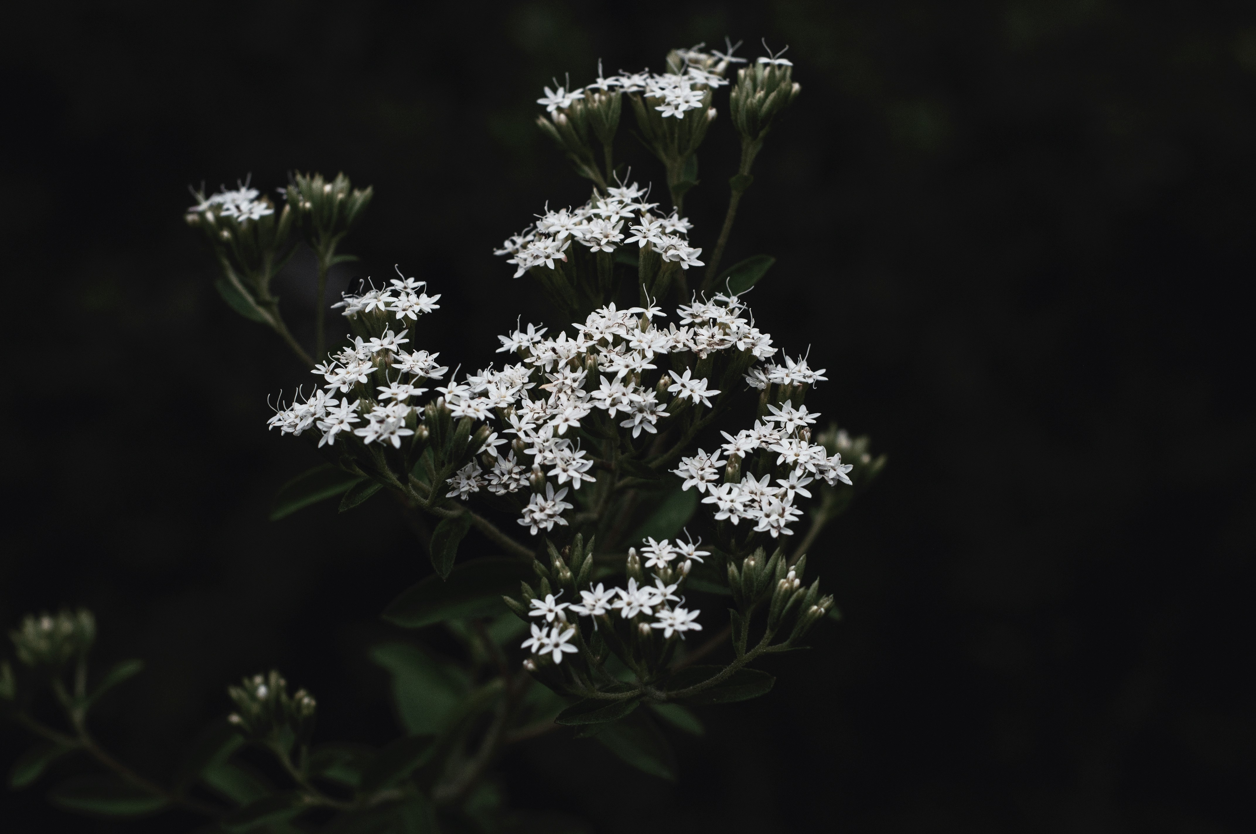 Photo by alexthehills