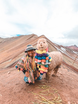 A person dressed in colorful traditional clothing is kneeling next to an alpaca adorned with multicolored tassels. The backdrop features a mountainous landscape with layered sedimentary rock formations.