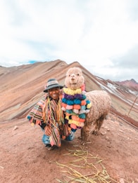 A person dressed in colorful traditional clothing is kneeling next to an alpaca adorned with multicolored tassels. The backdrop features a mountainous landscape with layered sedimentary rock formations.