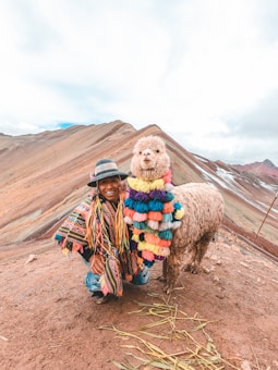 A person dressed in colorful traditional clothing is kneeling next to an alpaca adorned with multicolored tassels. The backdrop features a mountainous landscape with layered sedimentary rock formations.
