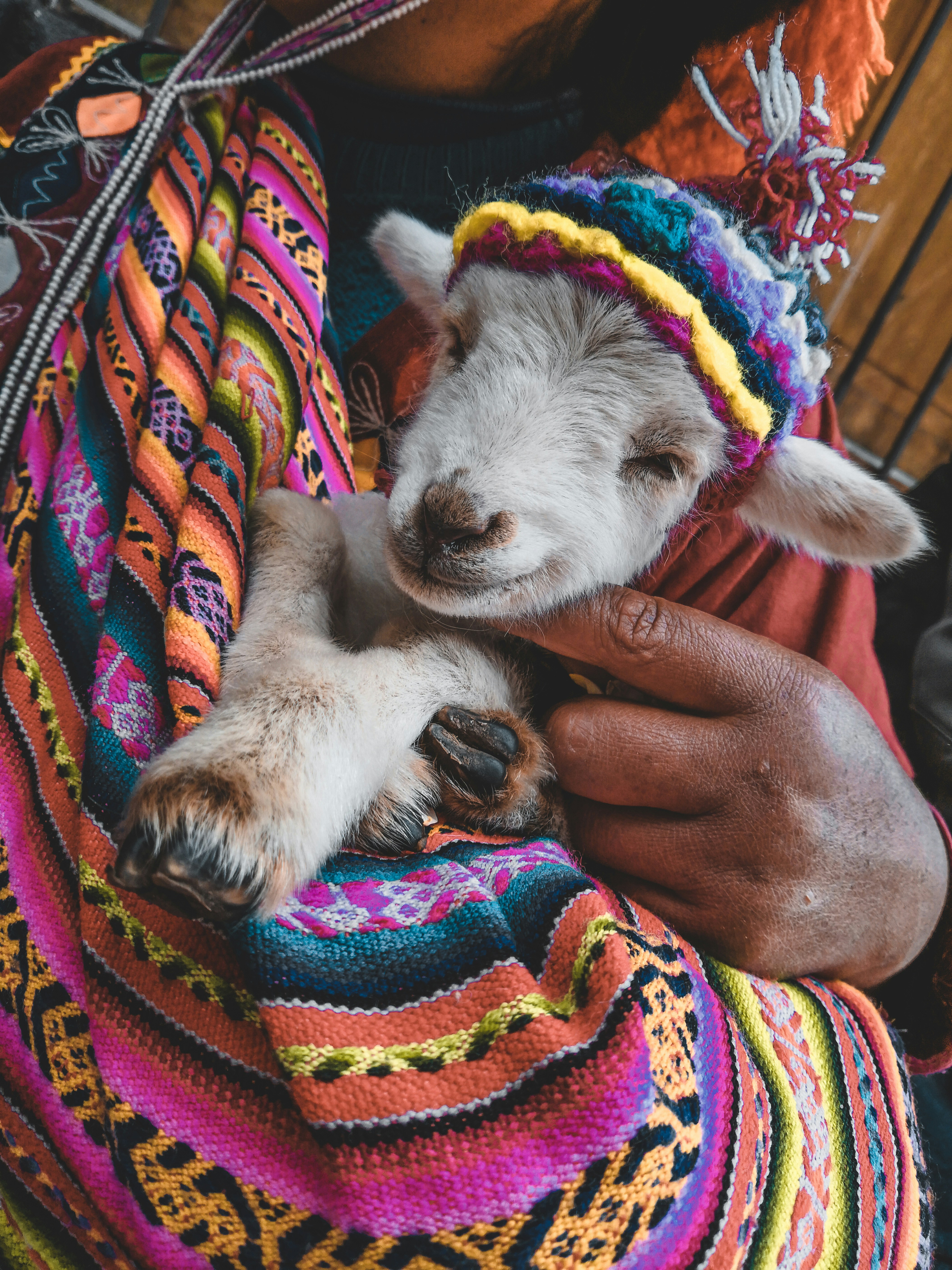 photo-1600922699812-63aaaaf9389b