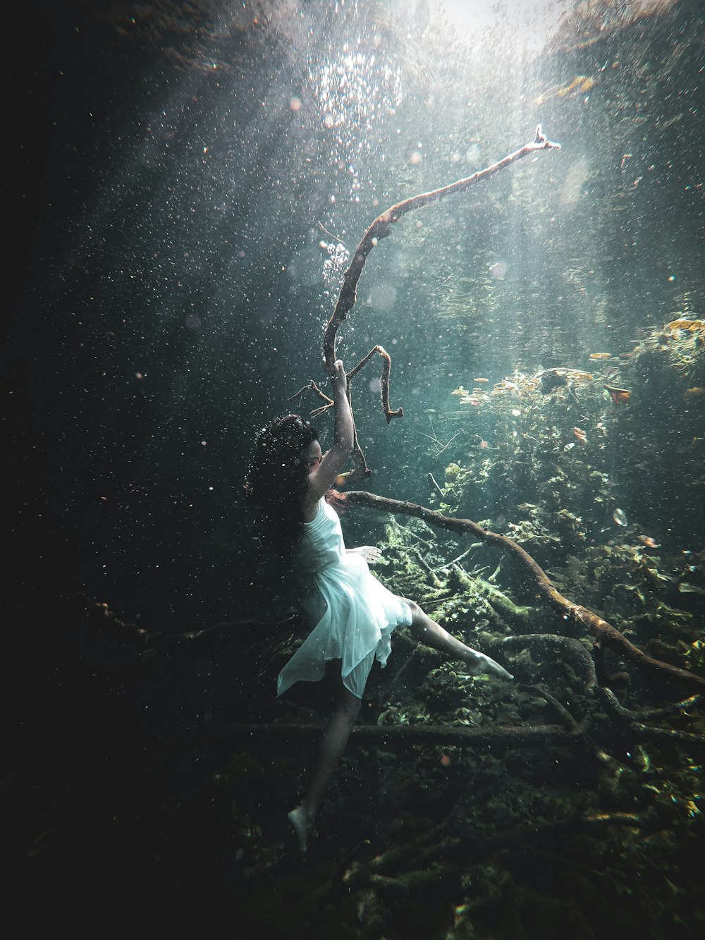 woman in white dress sitting on tree branch