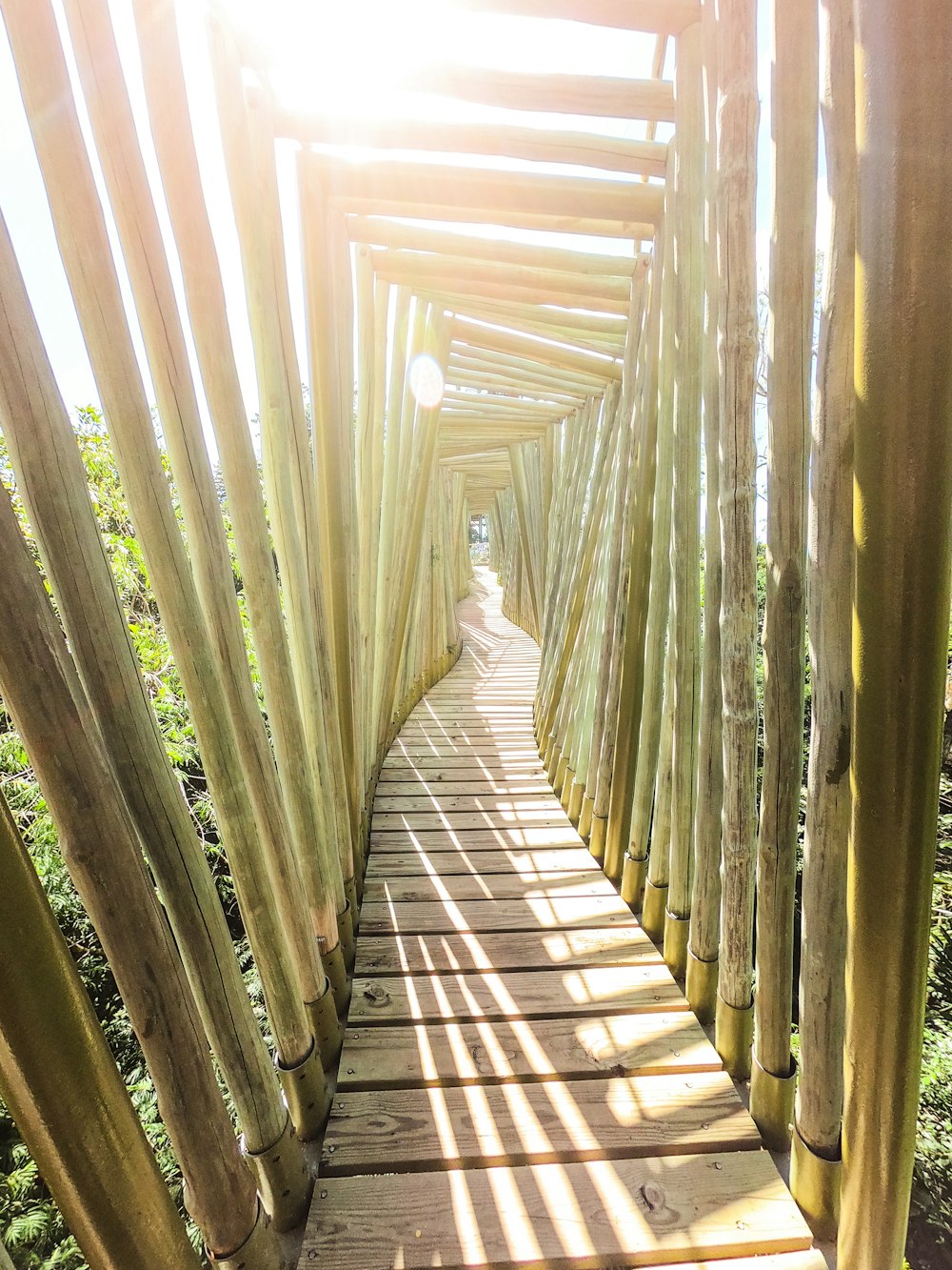 brown wooden pathway in between green trees during daytime