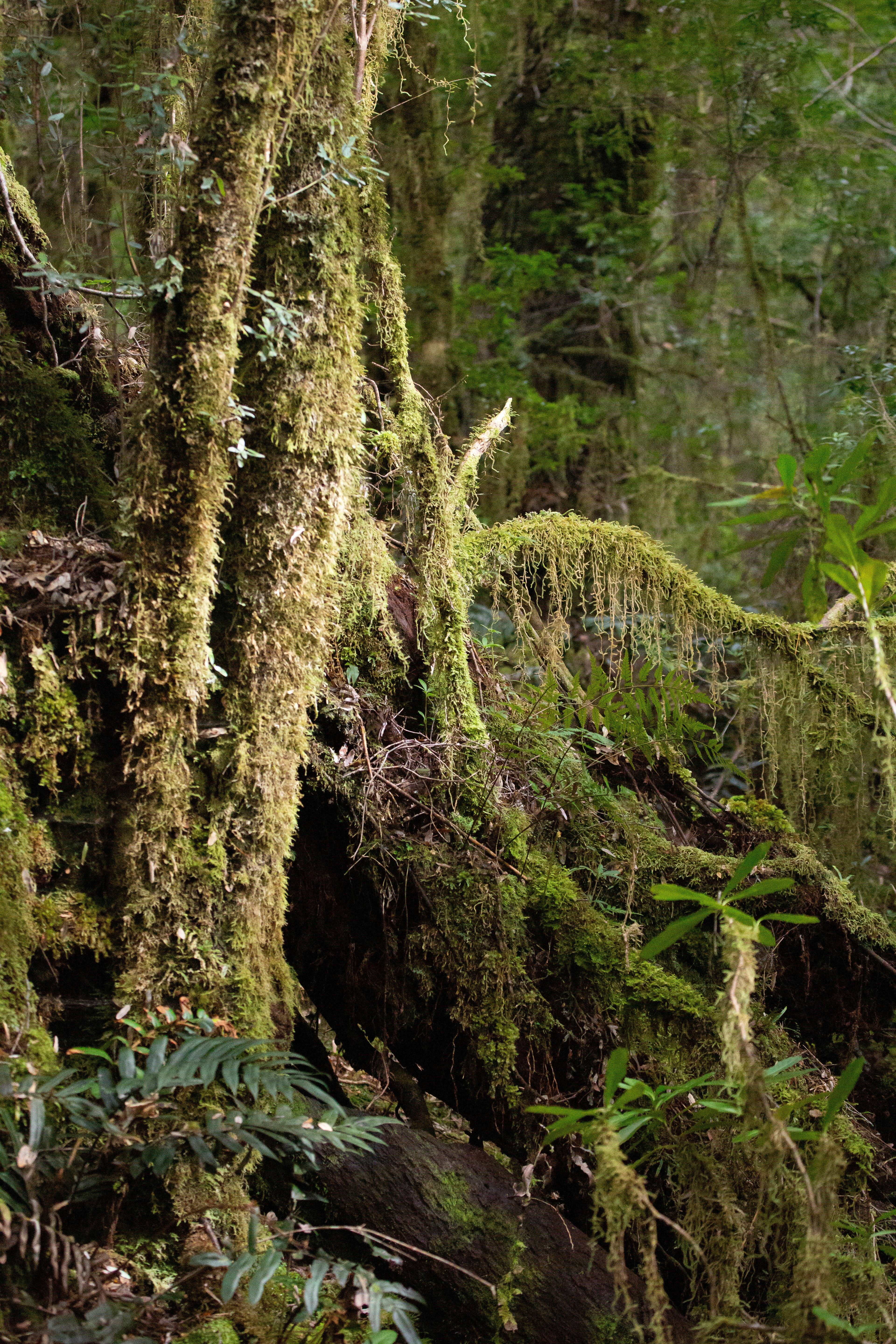 Photo by efencreative