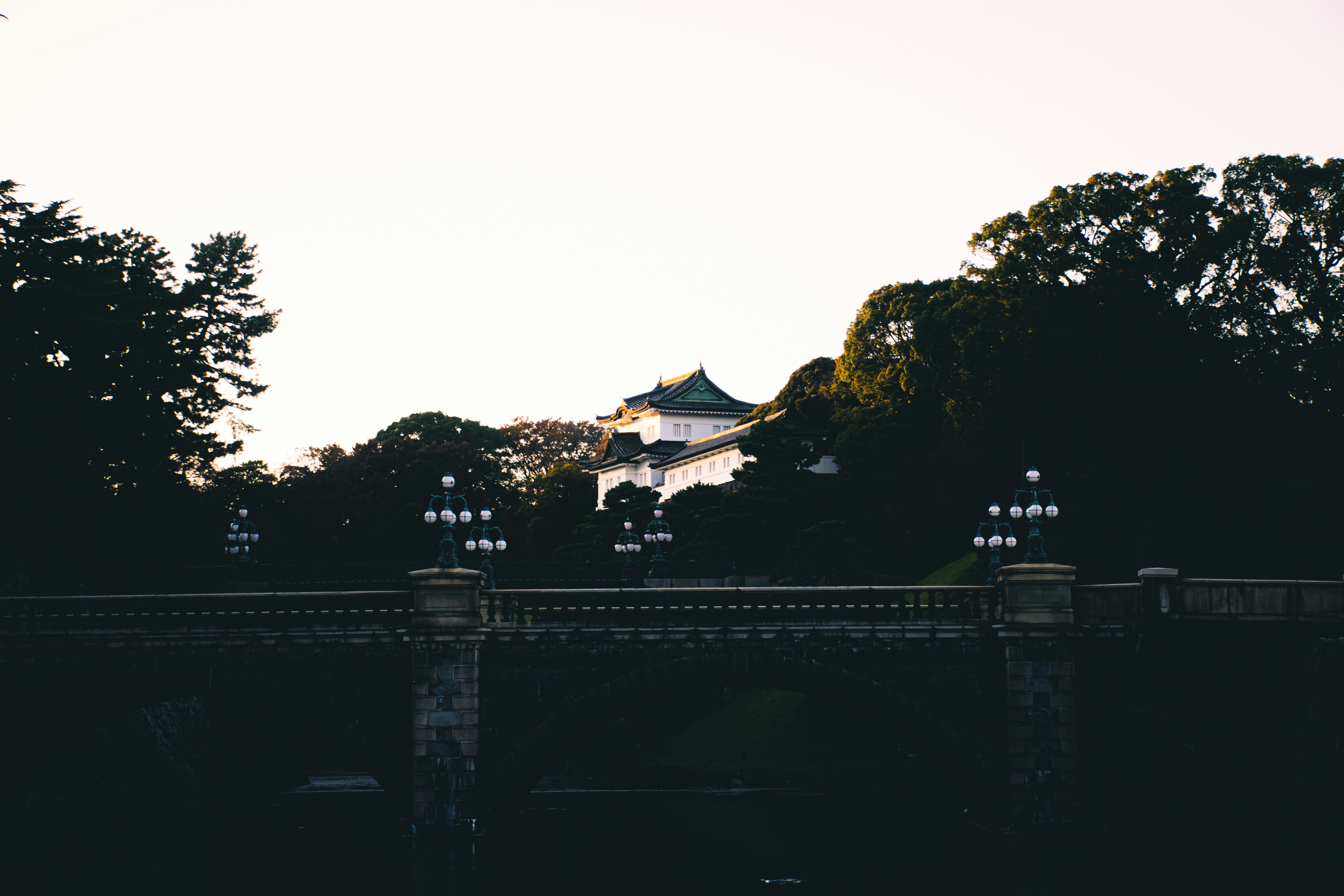 Photo by ryunosuke_kikuno