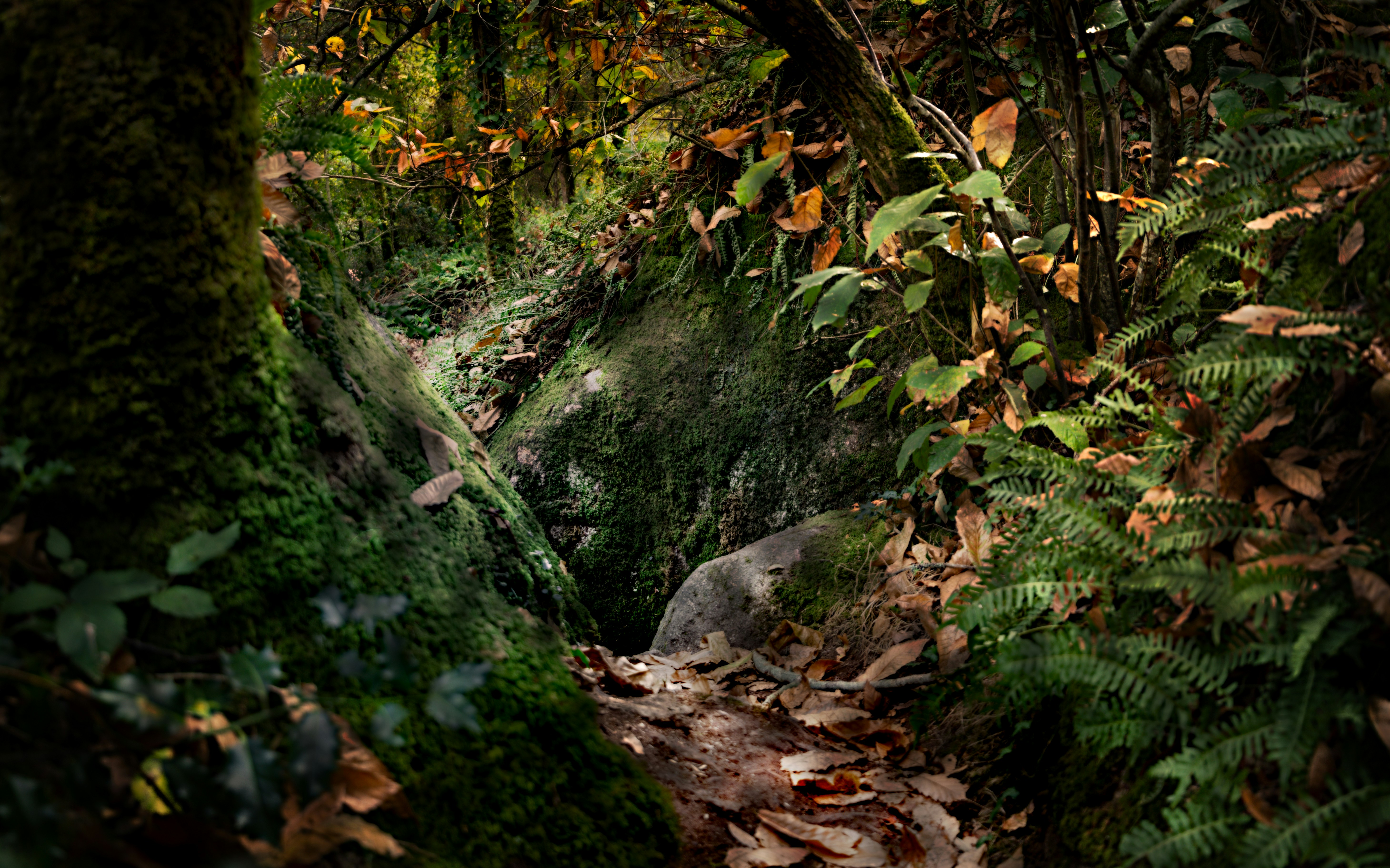 Photo by arizonanthony