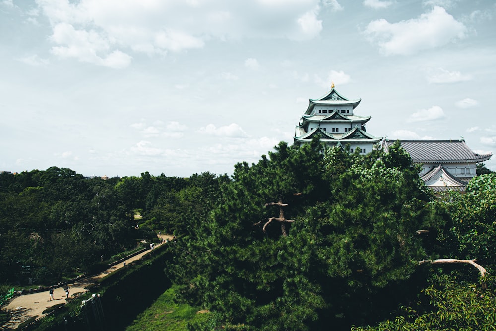 昼間は白い雲の下で緑の木々に囲まれた白と黒の寺院