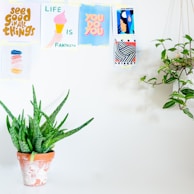 A minimalist wall features several colorful motivational posters with uplifting messages. Below the posters, a green aloe vera plant in a rustic terracotta pot sits on a surface. To the right, a hanging plant adds a touch of nature to the scene.
