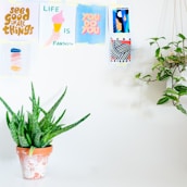 A serene office environment with green plants and motivational quotes on the wall.