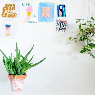 A minimalist wall features several colorful motivational posters with uplifting messages. Below the posters, a green aloe vera plant in a rustic terracotta pot sits on a surface. To the right, a hanging plant adds a touch of nature to the scene.
